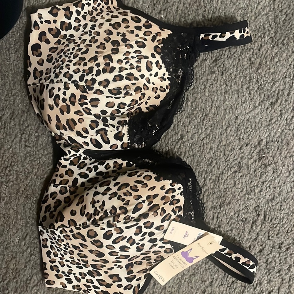 Lane Bryant Bra